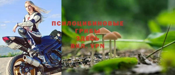 стафф Алексеевка