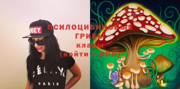 гидропоника Абаза